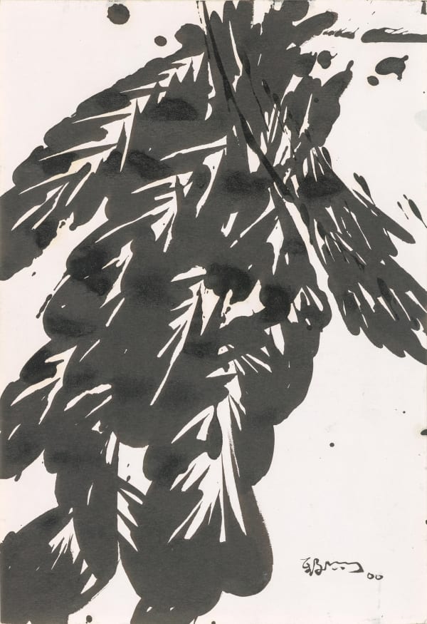 Huang Zhiyang 黄致阳, Morphological Ecology 018 形象生态018, 2000
