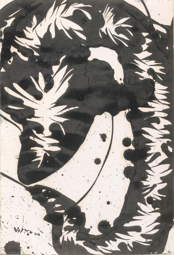 Huang Zhiyang 黄致阳, Morphological Ecology 011 形象生态011, 2000