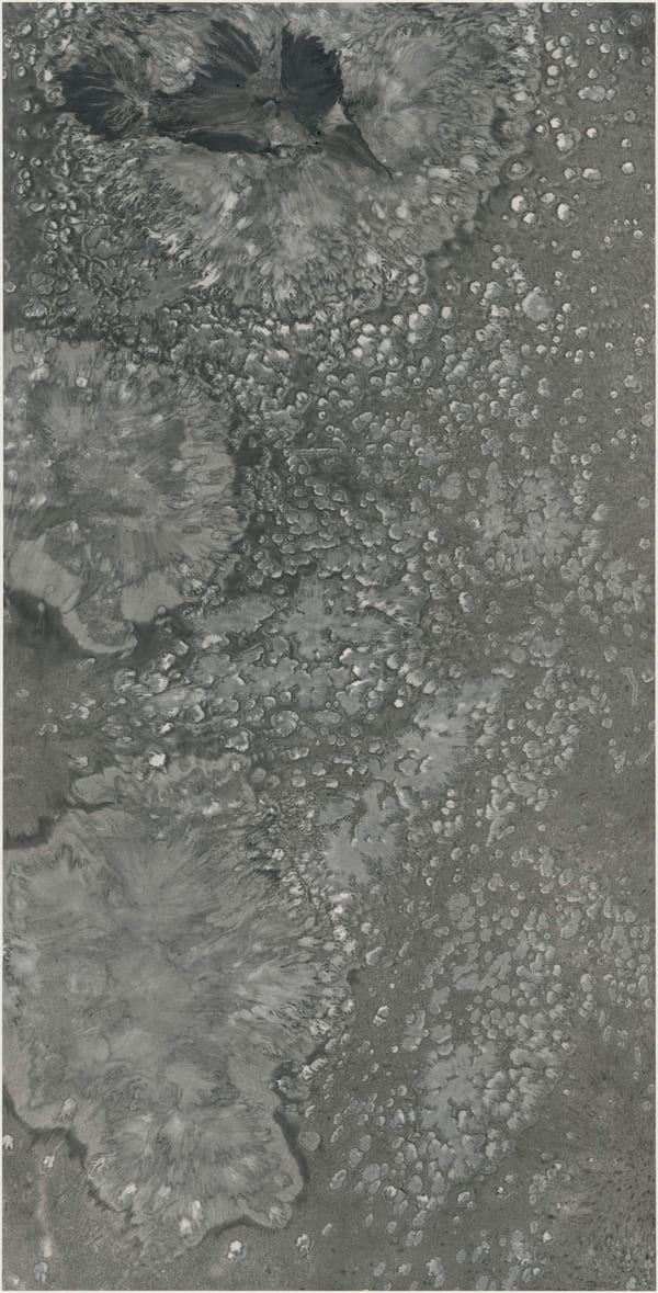 Bingyi 冰逸, Biology: Lotus Pond 生物波相：莲池, 2018
