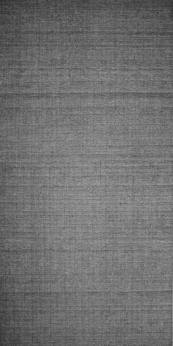 Li Huasheng 李华生, 9811, 1998