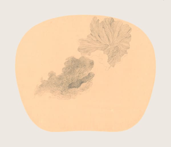 Bingyi 冰逸, Fairy of Dragonfly Lotus 蜓妖, 2012-2016