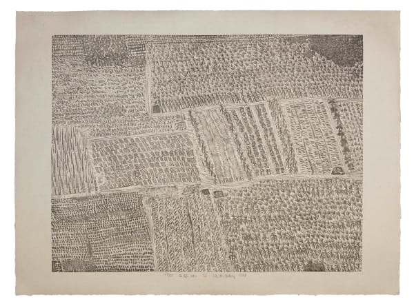 Xu Bing 徐冰, Family Plots 庄稼地, 1987