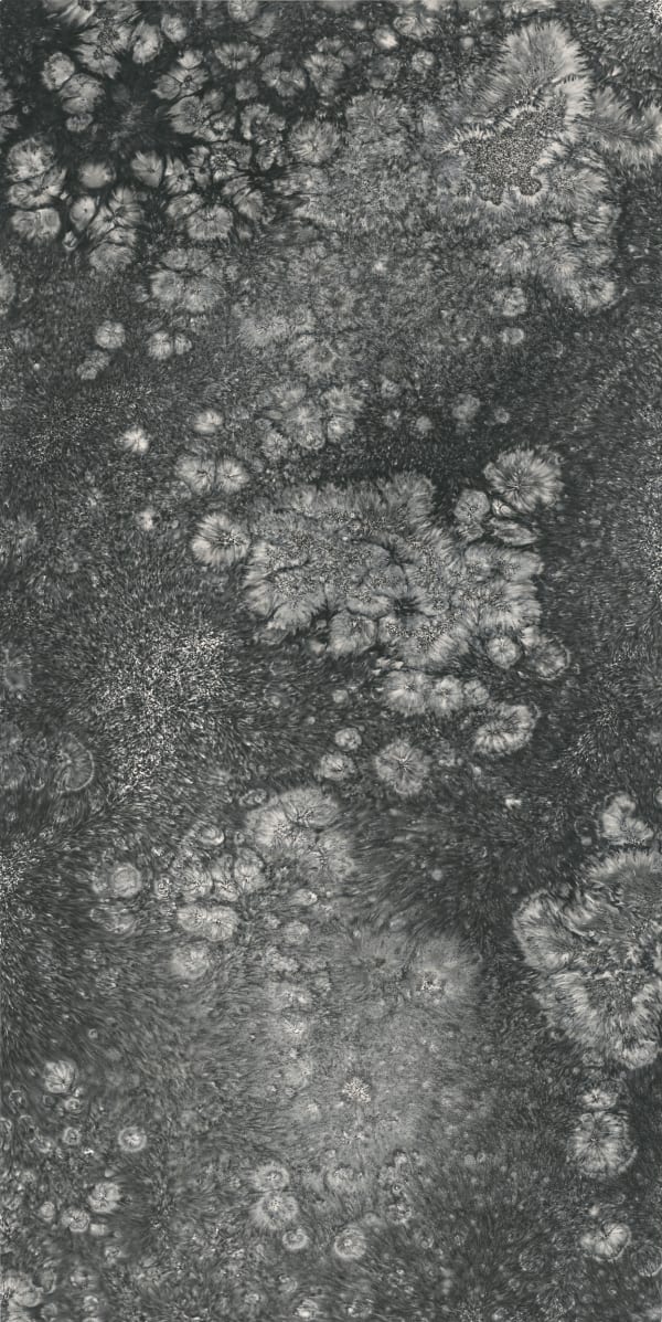 Bingyi 冰逸, Archaeology of Waves (4) 波相绘画 (4), 2019