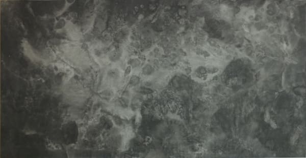 Bingyi 冰逸, ICE Paintings: Lotus Blossom in Ice No.1 冰画:莲1号, 2016