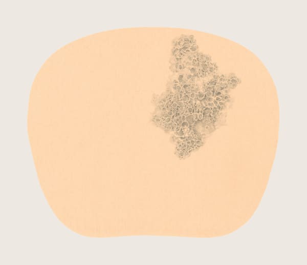 Bingyi 冰逸, Fairy of Coral 瑚妖, 2012-2016