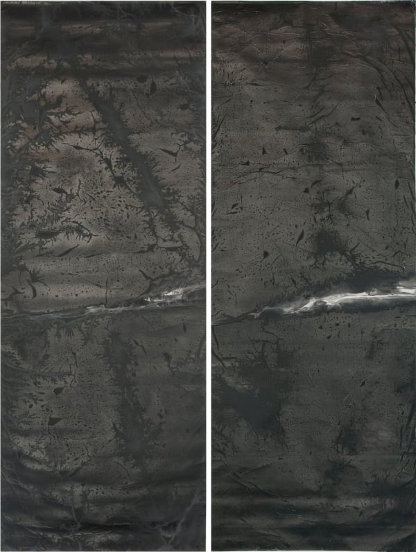 Zheng Chongbin 郑重宾, Dark Vein No. 1-2 黑脉 1-2, 2013