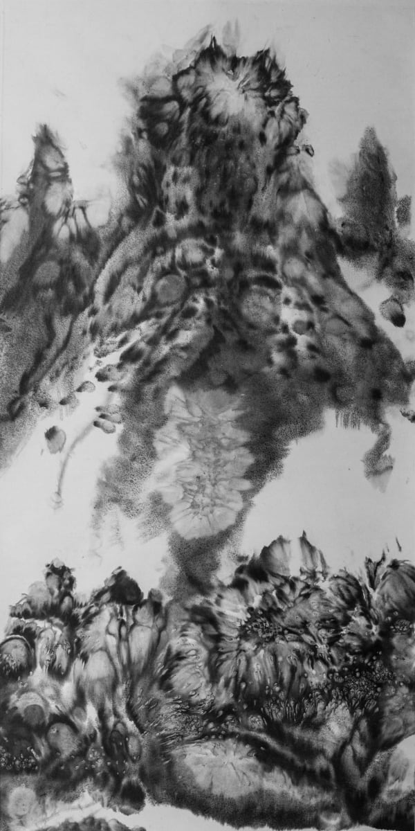 Bingyi 冰逸, White Clouds and Dark Beasts 白云苍狗, 2021