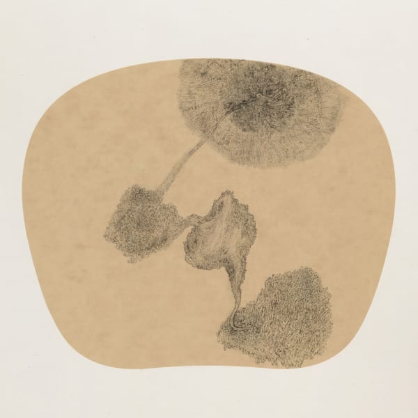 Bingyi 冰逸, Fairies 百妖图, 2012-2015