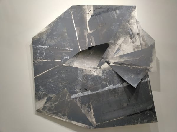 Zheng Chongbin 郑重宾, Germinating Surfaces 凸现体, 2019