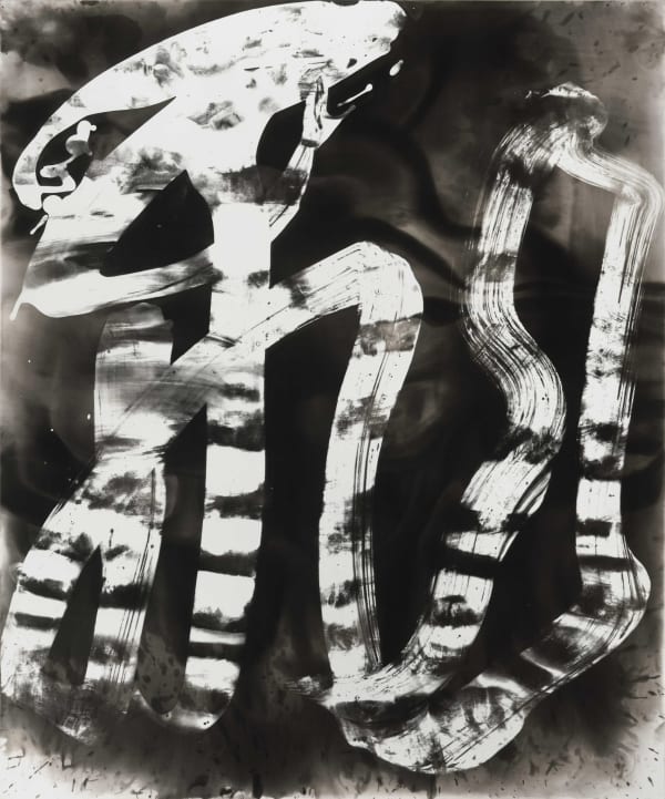 Wang Dongling 王冬龄, Flying 飞, 2013