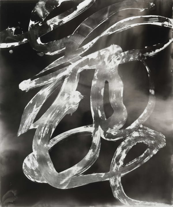 Wang Dongling 王冬龄, Flower No Flower 花非花, 2013