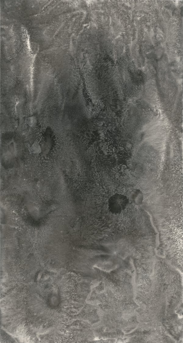 Bingyi 冰逸, Water of Mountain Flowers 山花水, 2019