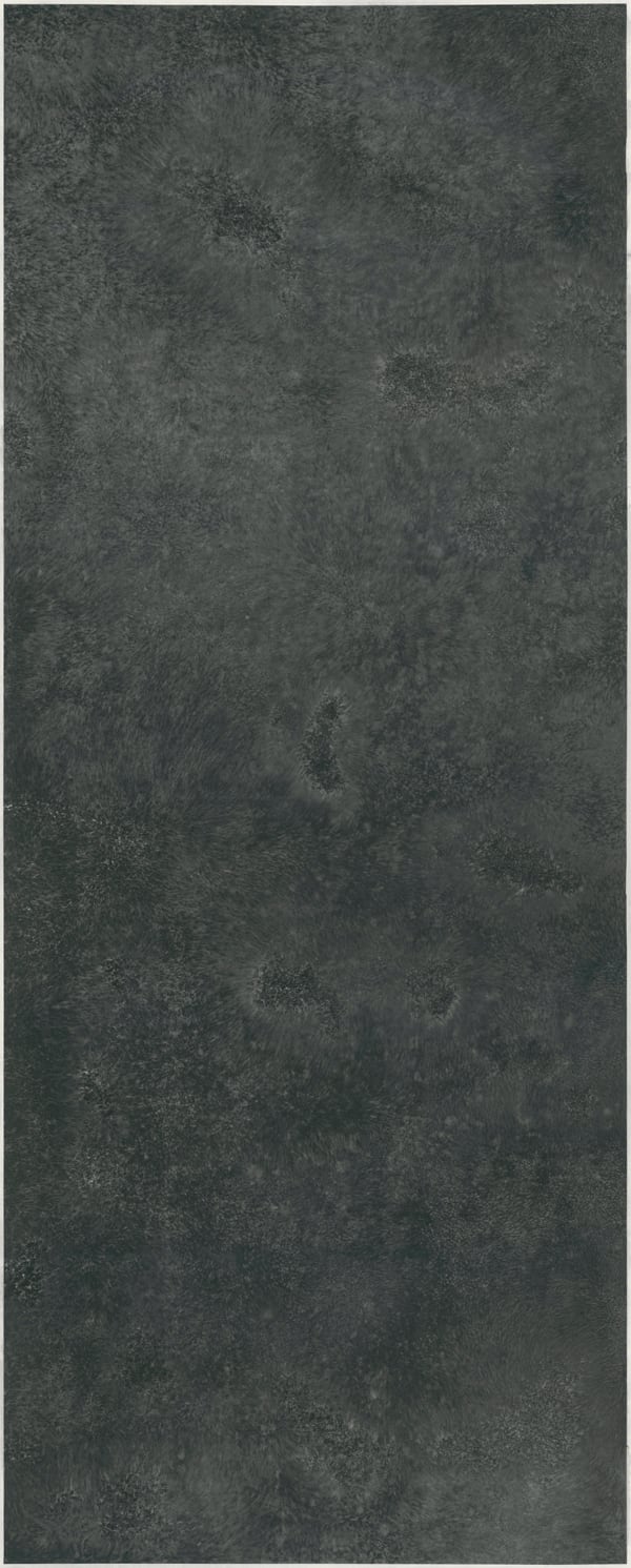 Bingyi 冰逸, Emptiness: Everything Grows 空的波相：万物生长, 2018