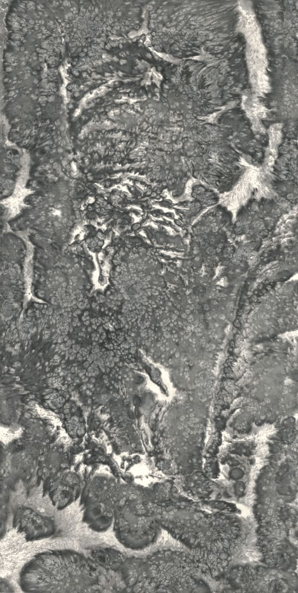 Bingyi 冰逸, Archaeology of Waves (1) 波相绘画 (1), 2019