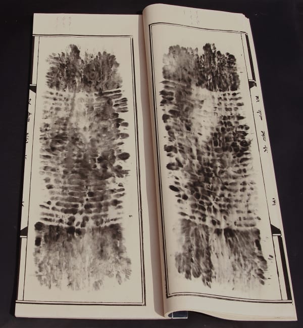 Tao Aimin 陶艾民, The Secret Language of Women No. 6 女书 第六卷, 2008