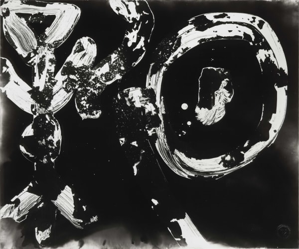 Wang Dongling 王冬龄, Daily Renewal 日新, 2013