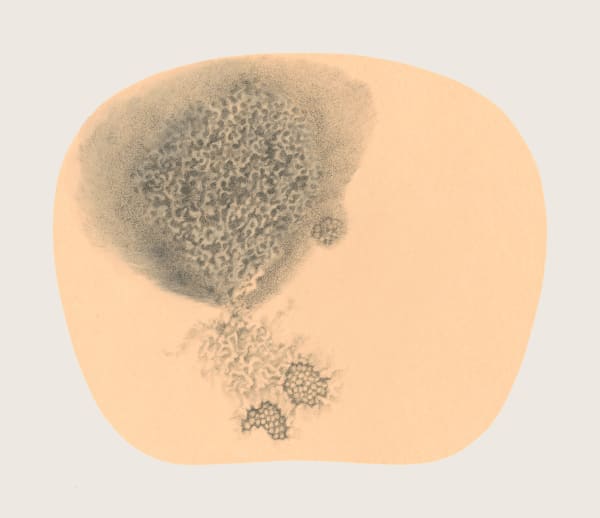 Bingyi 冰逸, Fairy of Pupil 瞳妖, 2012-2016