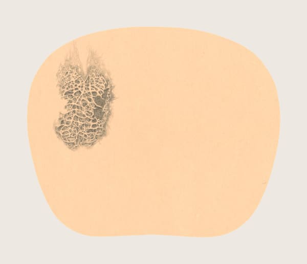 Bingyi 冰逸, Fairy of Heart with Many Holes 窍妖, 2012-2016