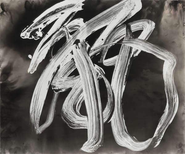 Wang Dongling 王冬龄, Beauty 麗, 2013