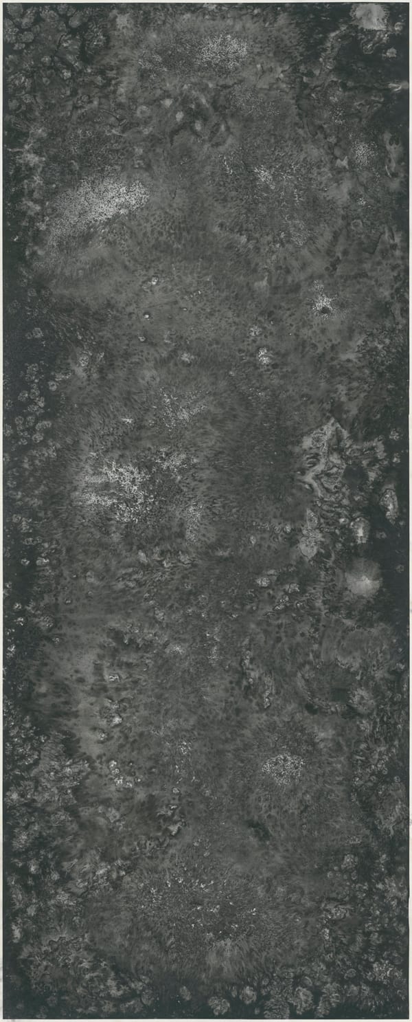 Bingyi 冰逸, Microcosm: Wind 微观波相：风, 2018