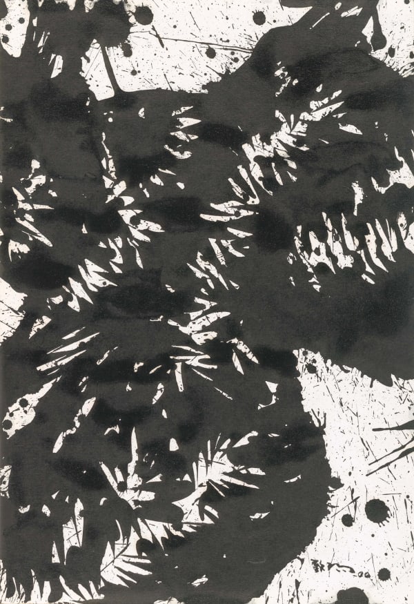 Huang Zhiyang 黄致阳, Morphological Ecology 012 形象生态012, 2000