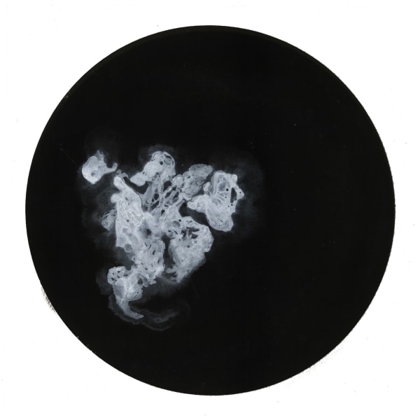 Bingyi 冰逸, 汝, 2013-2014