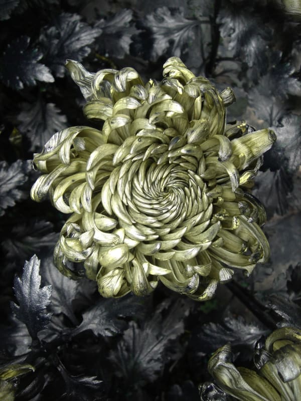 Jennifer Ma 马文, In Furious Bloom III 怒放三, 2016