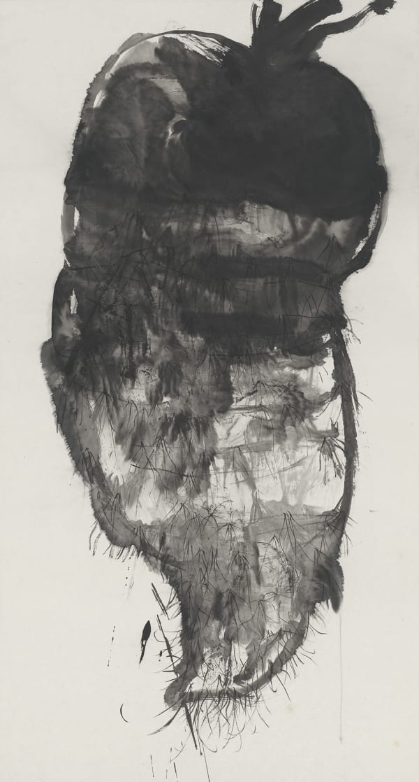 Li Jin 李津, Big Radish 大萝卜, 2015