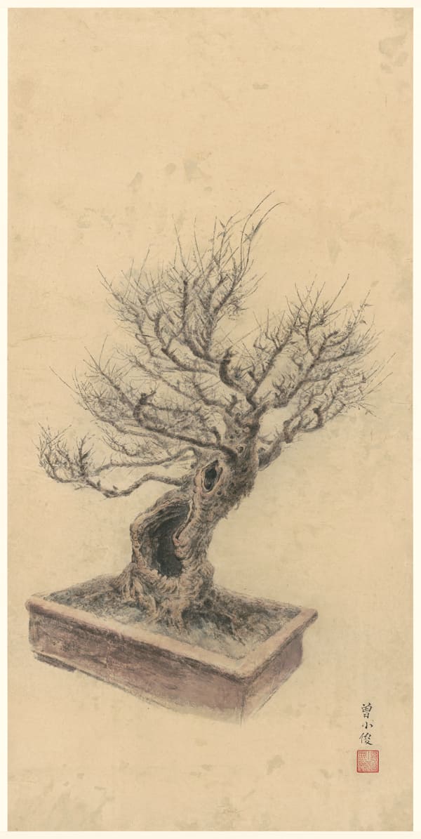 Zeng Xiaojun 曾小俊, Xiaogushanguan Penjing VI 小孤山馆藏盆景六, 2019