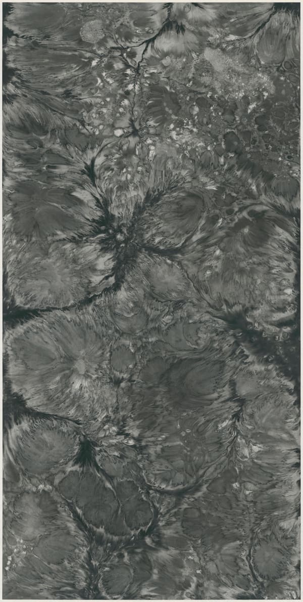 Bingyi 冰逸, Mind: Where Seasons Disappear 心念波相：季节消失的地方, 2018