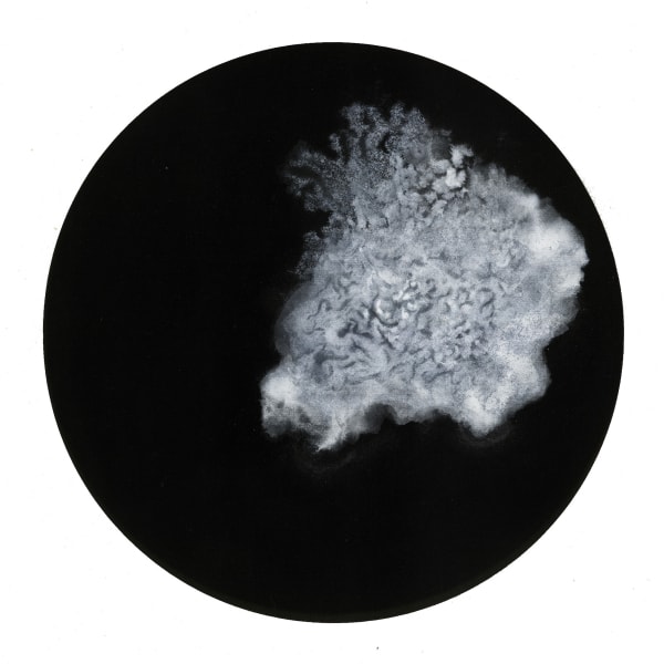 Bingyi 冰逸, 渱, 2013-2014