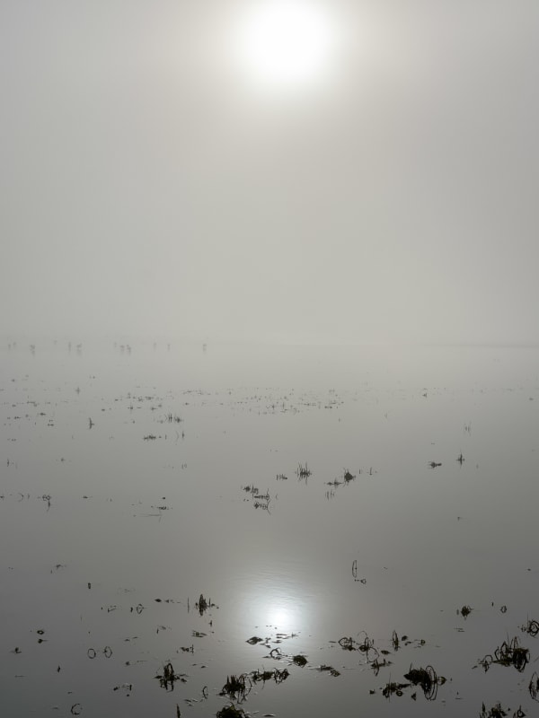 Nuno Cera, Janela Infinita #7, El Clot, Delta Ebro, 2022