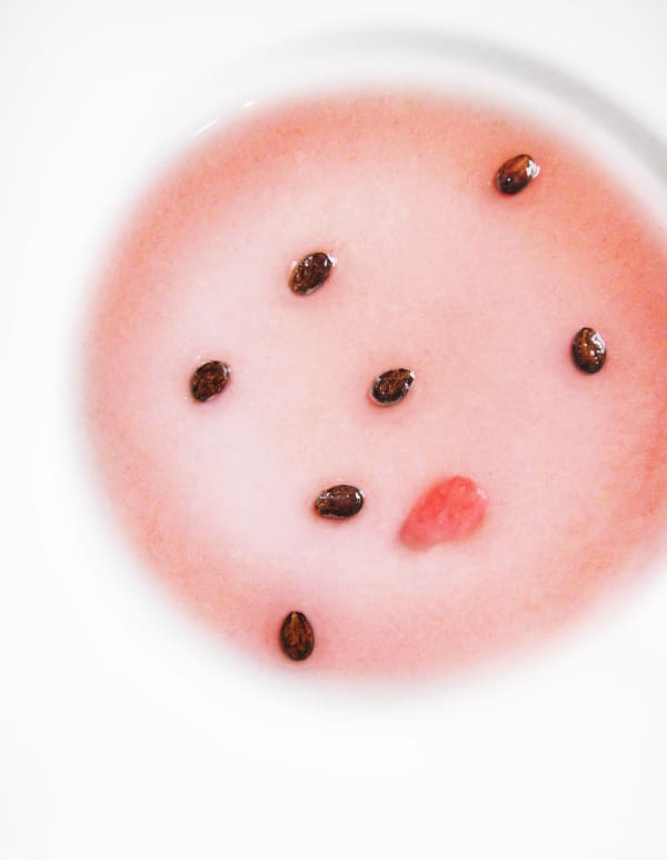 Philipp Keel, Watermelon Seeds Series V (I-V), 2011