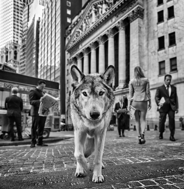 David Yarrow, Once Upon A Time on Wall Street, 2023