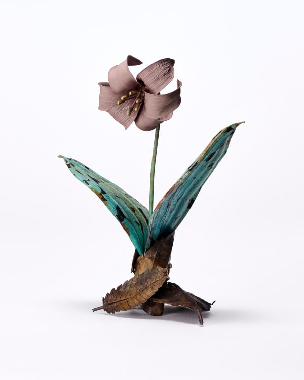 Shota Suzuki, 片栗 - Lily, 2023