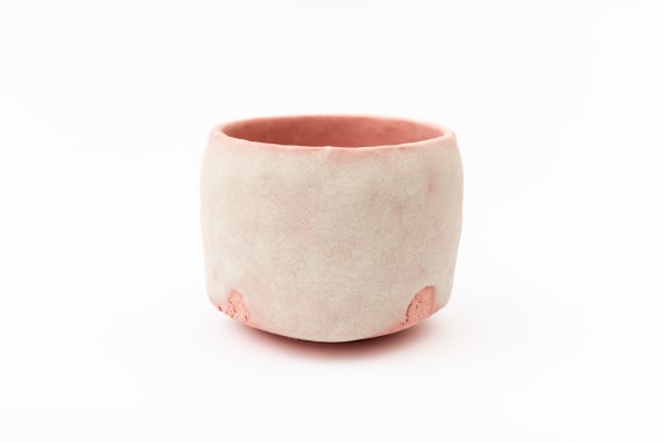Tomoyuki Hoshino, 糖衣碗