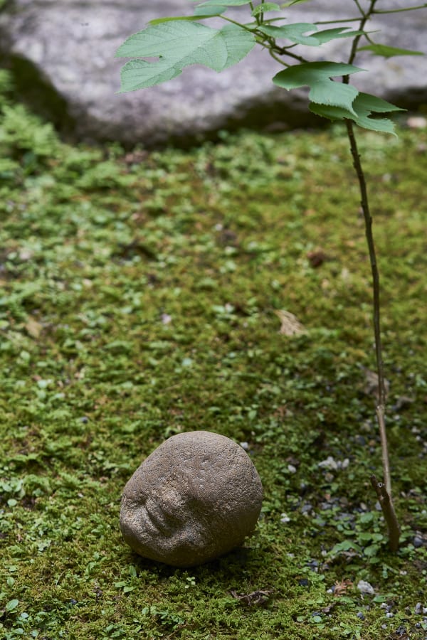 Sho Kishino, Smile, 2020