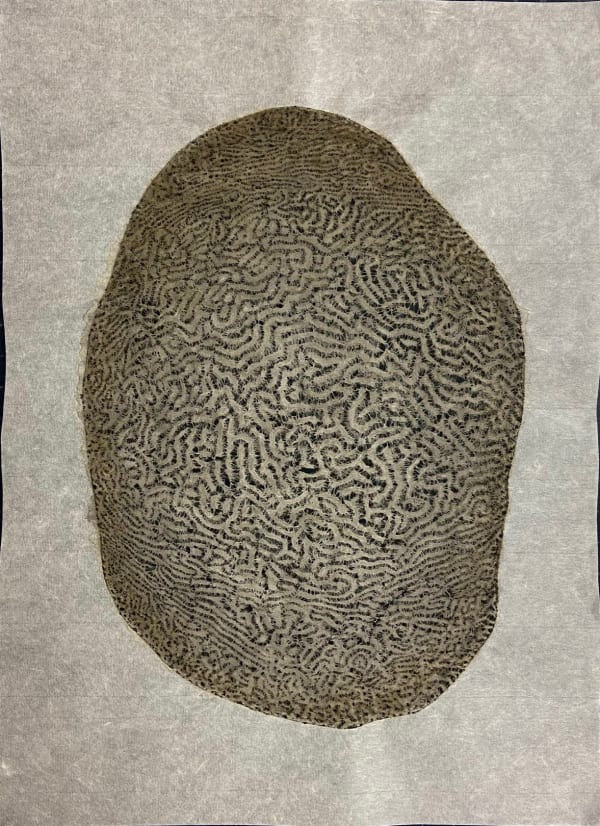 Mami Kato, Coral (black), 2022