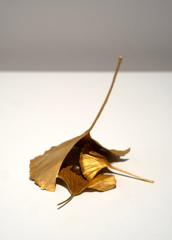 Shota Suzuki, Gingko Leaves, 2025
