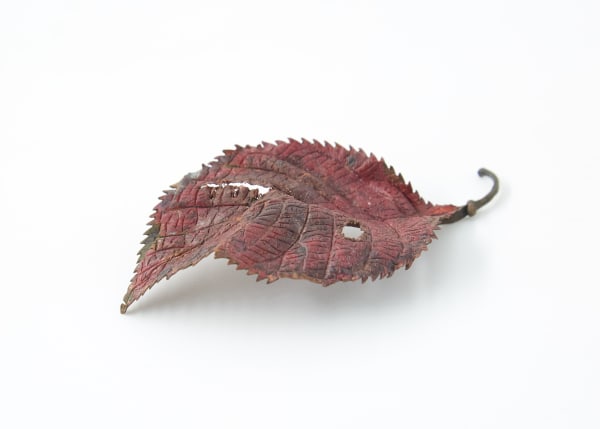 Shota Suzuki, Cherry Red Leaf, 2017