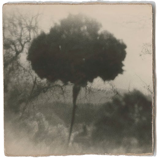 Miho Kajioka, BK0001, 2011