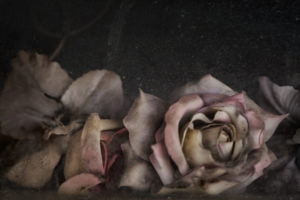 Christopher Thomas, Eternity 74, 2005