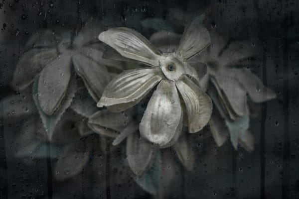 Christopher Thomas, Eternity 98, Virginia, USA, 2015