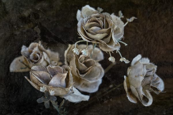 Christopher Thomas, Eternity 48, 2006