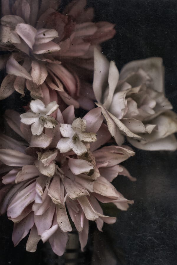 Christopher Thomas, Eternity 65, Buenos Aires, Argentina,, 2010