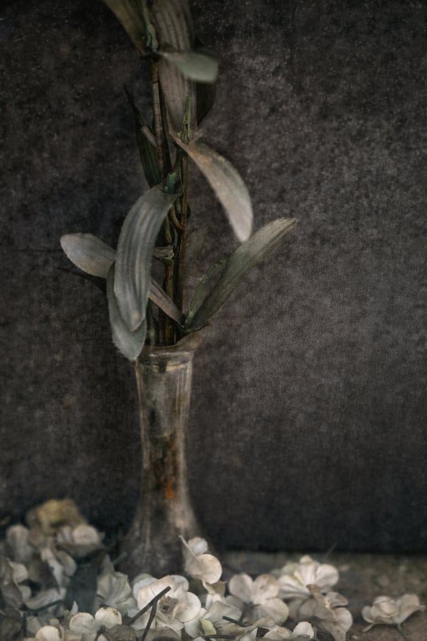 Christopher Thomas, Eternity 07, Granada, Spain, 2008