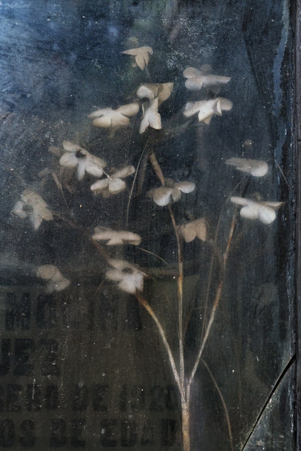 Christopher Thomas, Eternity 30, Granada, Spain, 2007