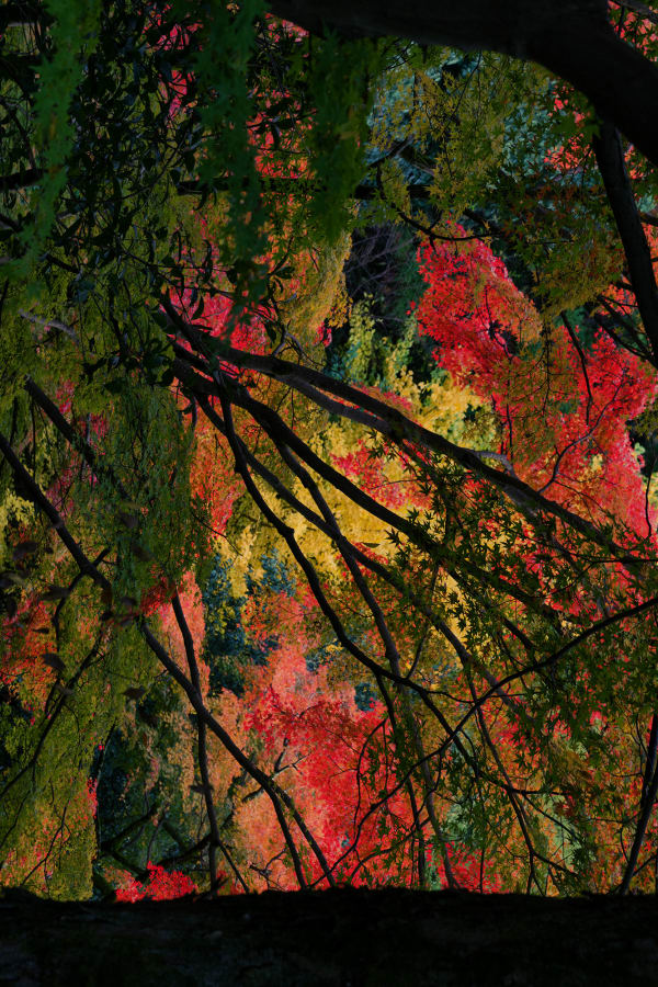 Albarrán Cabrera, The Mouth of Krishna SE #60109, 2016