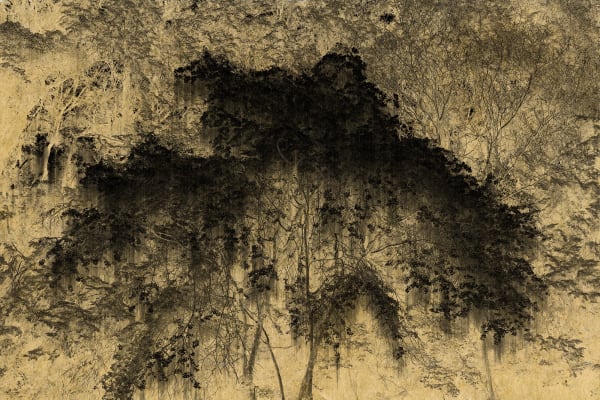 Albarrán Cabrera, Nyx #26, 2018