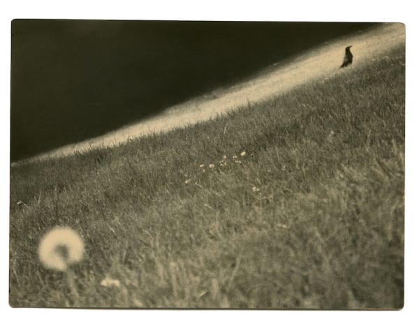 Miho Kajioka, BK0464, 2019